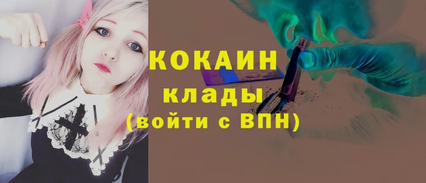 ПСИЛОЦИБИНОВЫЕ ГРИБЫ Абаза
