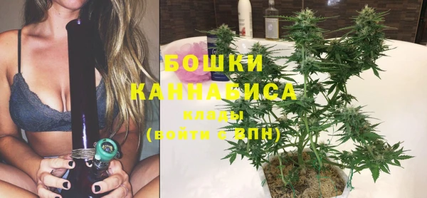 ПСИЛОЦИБИНОВЫЕ ГРИБЫ Абаза