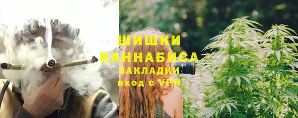 ПСИЛОЦИБИНОВЫЕ ГРИБЫ Абаза