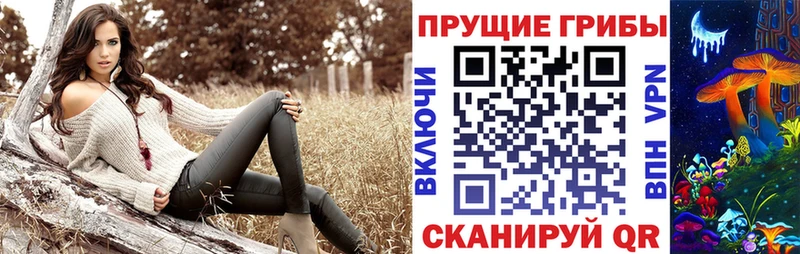 Псилоцибиновые грибы мицелий  магазин  наркотиков  Юхнов 